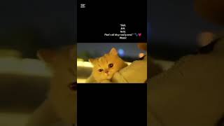 Safe.soft.held.thats All They Really Need.