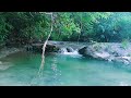 Calm Your Mind Before Sleep with River Flow and Soft Birds