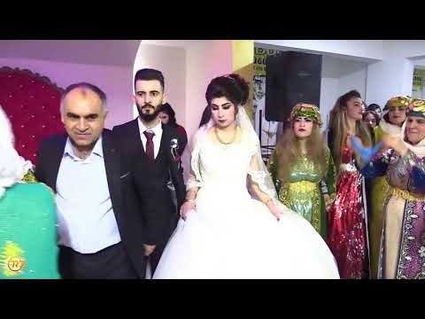 ١٢ نوفمبر ٢٠٢٠