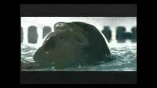 Kaiser Permanente Thrive Campaign - '04 (Swimming) Net Worth