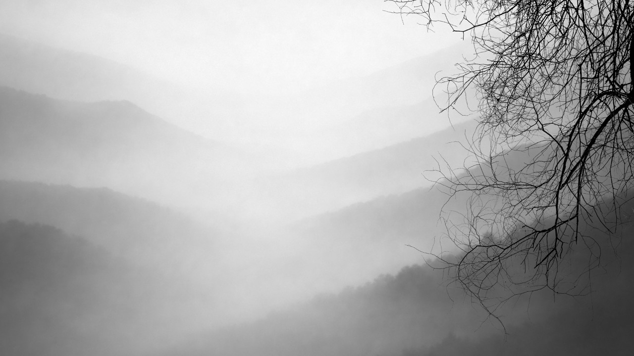 Isaac B. Cole — It Settled Quietly | Sessions on the Green