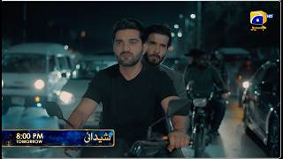 Shaidai Episode 17 Promo | Tomorrow at 8:00 PM only on Har Pal Geo