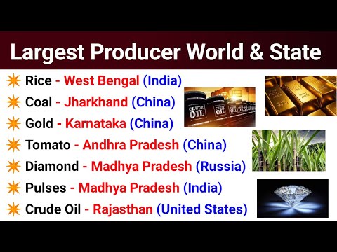 Which State Is Largest Jute Producer In India
