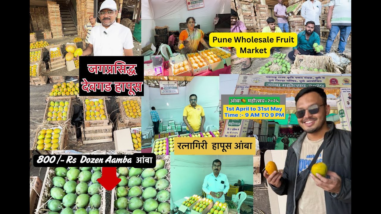 🥭Pune Wholesale Fruit Market|आंबा महोत्सव पुणे २०२५ |जगप्रसिद्ध देवगड,रत्नागिरीहापूसआंबा|#marketyard