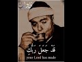 مقطع رائع للشيخ مصطفى اسماعيل من سورة مريم   Copy