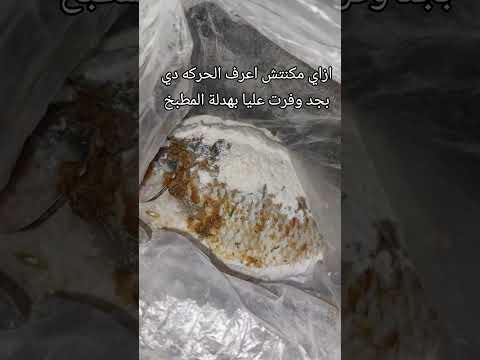الحركه دي وفرت عليا بهدلة المطبخ    اكسبلور فكرتين   