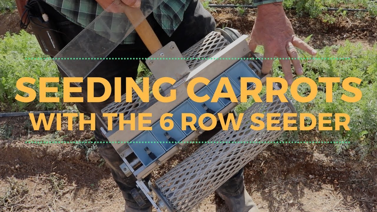 Seeding Carrots with The 6 Row Seeder at Steadfast Farm YouTube