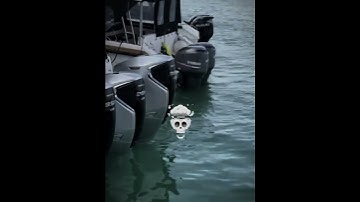 crown x 38 x queen🇲🇻🔥 #maldives #honda #boatlife #speedboat #boating