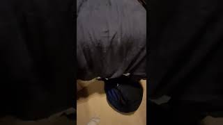 My Friends Wrestling One Of Them Is Maybe