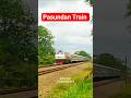 Pasundan Train Surabaya Gubeng - Kiaracondong #videoshort