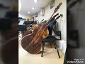 repair of the double bass Lucarini  ,Saint-Petersburg, Russia Dmitry Perminov