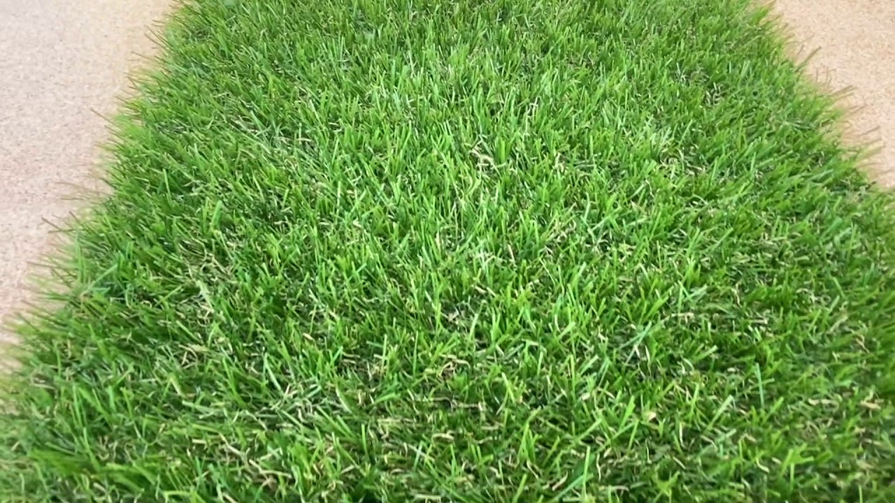 Césped Artificial Modelo Murcia 32mm - YouTube