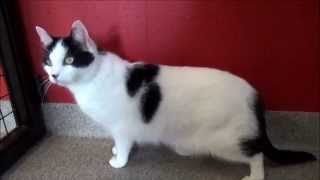 Dottie And The Elusive Red Bug