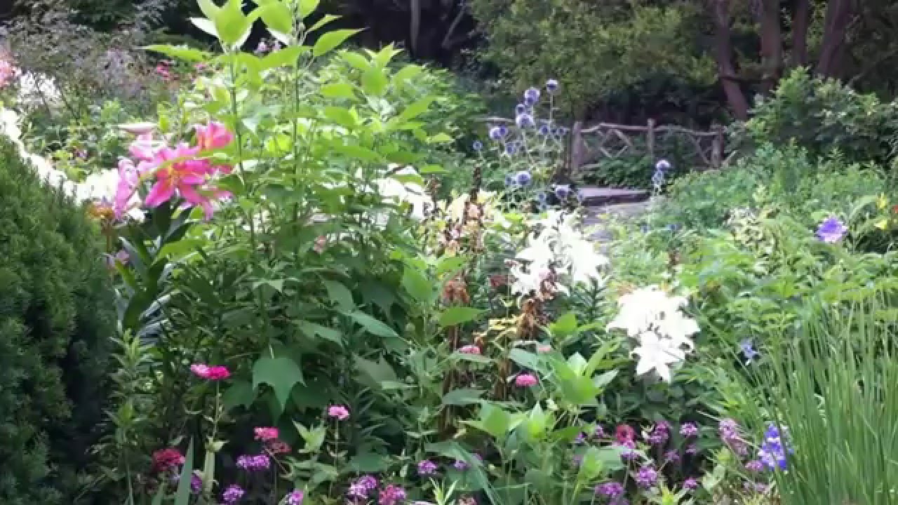 Central Park Flowers Shakespeare Garden YouTube
