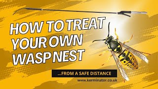How to treat your own wasp nest from a SAFE DISTANCE like a pro, with this new DIY tool (2024)