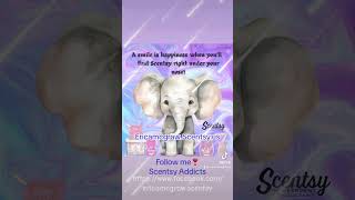 Have You Seen The Scentsy Wax Bundles In My Clearance Section? The Bake That Wax Bundle 20