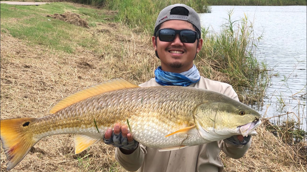 Chasing MASSIVE SCHOOLS of REDFISH!! / Bank Fishing