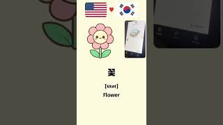 Nature in Korean - Learn in 60s #shorts