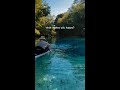 Doesn’t get much better than Gilchrist Blue Springs ✨