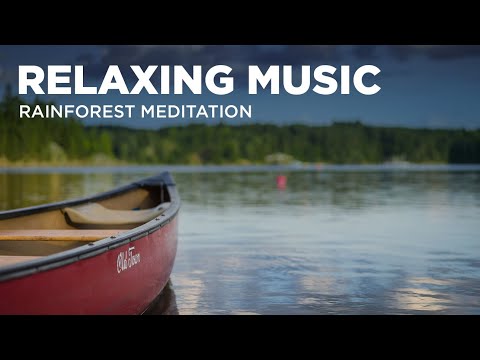 4 hours rain and rainforest sounds