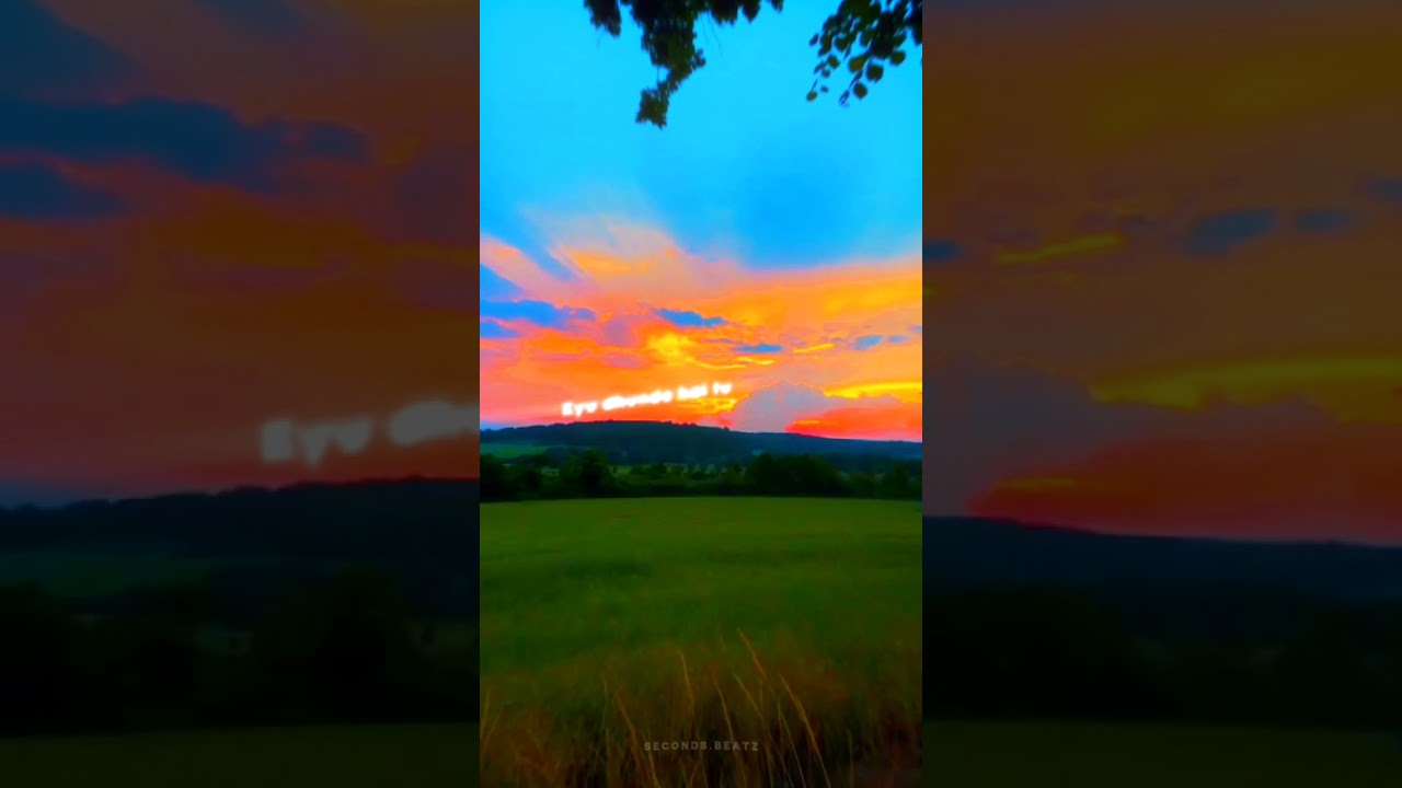 Chidiya | Aesthetic lyrics edit | 