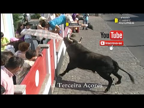 Tourada à corda, ilha Terceira, 2011