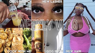 Niyatheproblem Weekly Vlog Hairlashes, Birthday Brunch, Getting Fired & Grooming My Dog