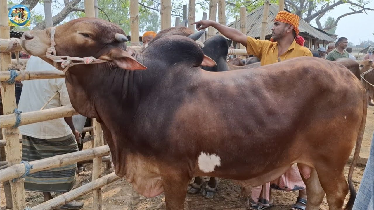 @ সোমবার ৯ মার্চ