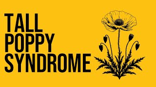 Tall Poppy Syndrome