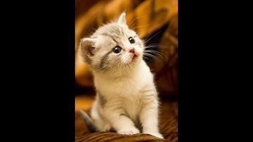 hypixel skyblock f7 frag runs and some carries?