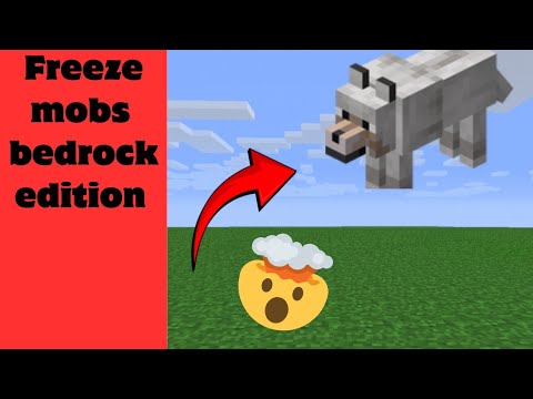 HOW TO FREEZE MOBS MINECRAFT BEDROCK EDITION #minecraft #minecrafttutorial #minecraftcommands