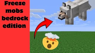 HOW TO FREEZE MOBS MINECRAFT BEDROCK EDITION #minecraft #minecrafttutorial #minecraftcommands