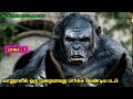      tamil hollywood times  tamil dubbed  movies review in tamil 