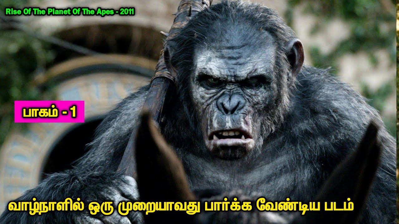 சாகும் முன் பார்க்கவேண்டிய படம் | Tamil Hollywood Times | Tamil Dubbed | Movies Review In Tamil |