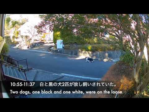 EDR December #19-21 2021 Emergency vehicles passing by daily