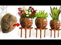 Amazing coconut husk flower pot ideas / plants decoration ideas at home/ diy garden decor ideas