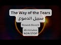 Slowed-Reverb of The Way of the Tears سبيل الدموع - Peaceful Nasheed for Sleep and Study
