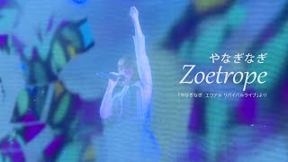 やなぎなぎ「Zoetrope」ライブ（5thアルバム「エメラロタイプ」初回限定盤A 映像特典）
