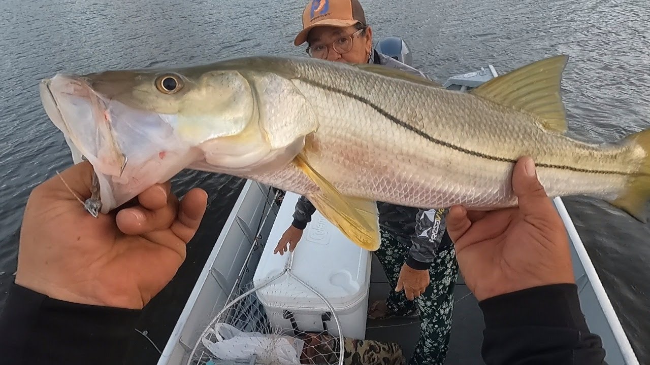 PESCARIA DE ROBALO EM NOVA VIÇOSA – BAHIA