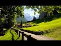 Beautiful Relaxing Music for Stress Relief🌿Healing Music For The Heart, Blood Vessels #9