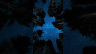 Found You In The Woods Vore Asmrsafe Vore