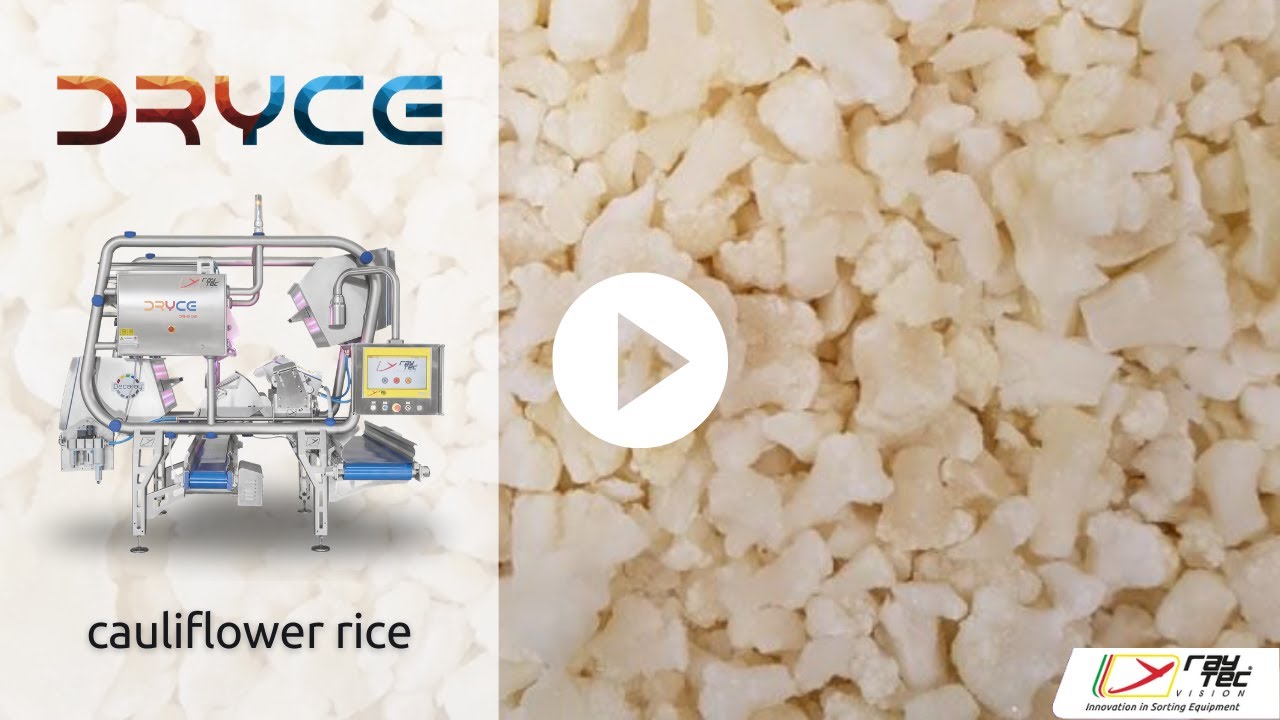 Dryce sorting machine for cauliflower rice | Raytec Vision