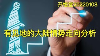 3339-有见地的大陆情势走向分析-20220103-9