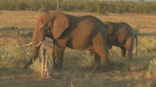 Mms Ubuntu Project Blog Video 3