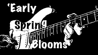 ‘Early Spring Blooms’ original guitar music
