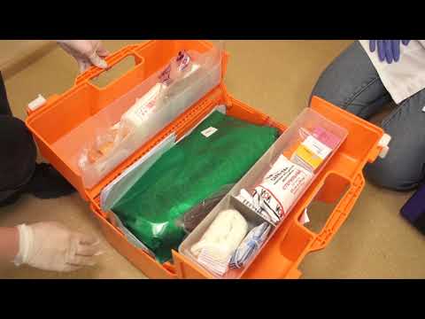 День оказания первой медицинской помощи