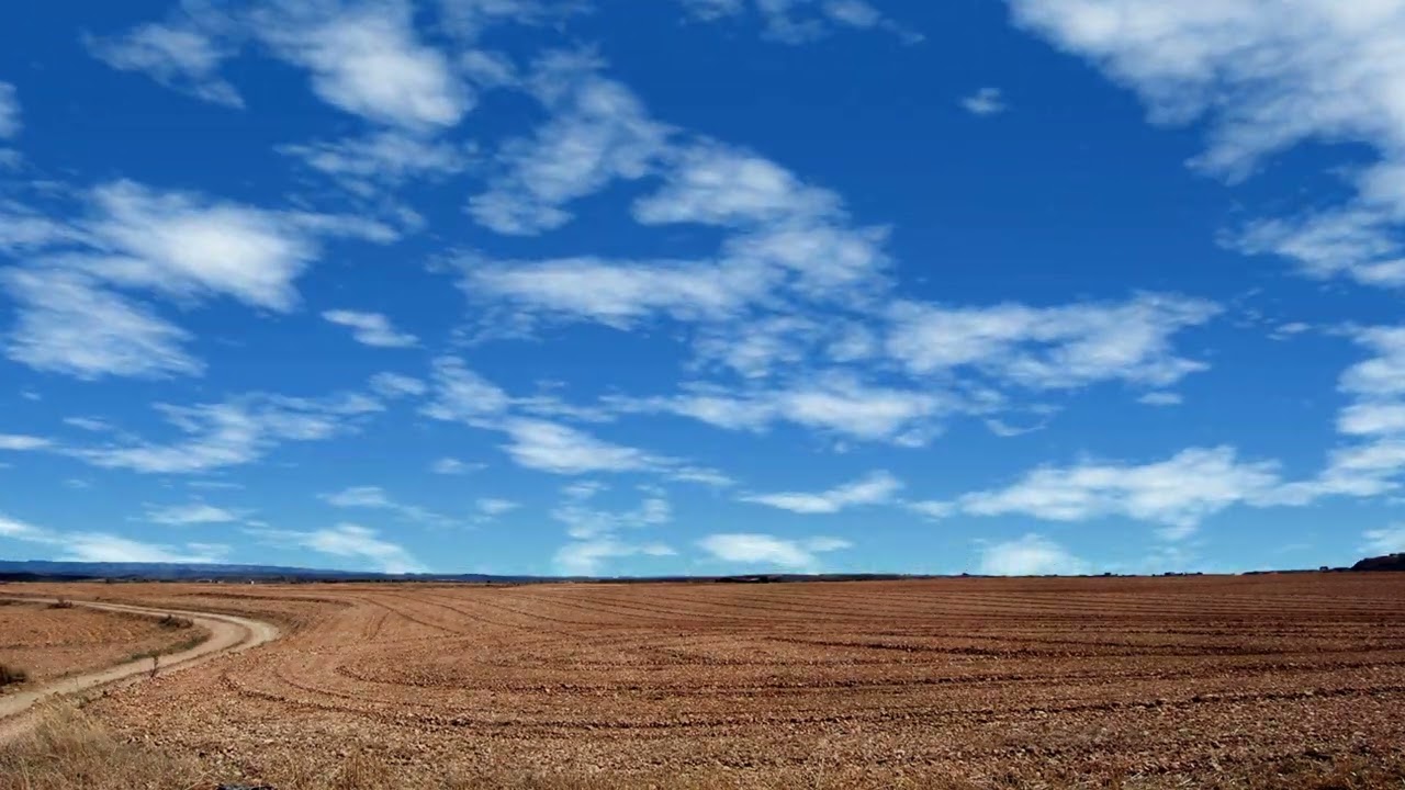 Landscape created from a picture.