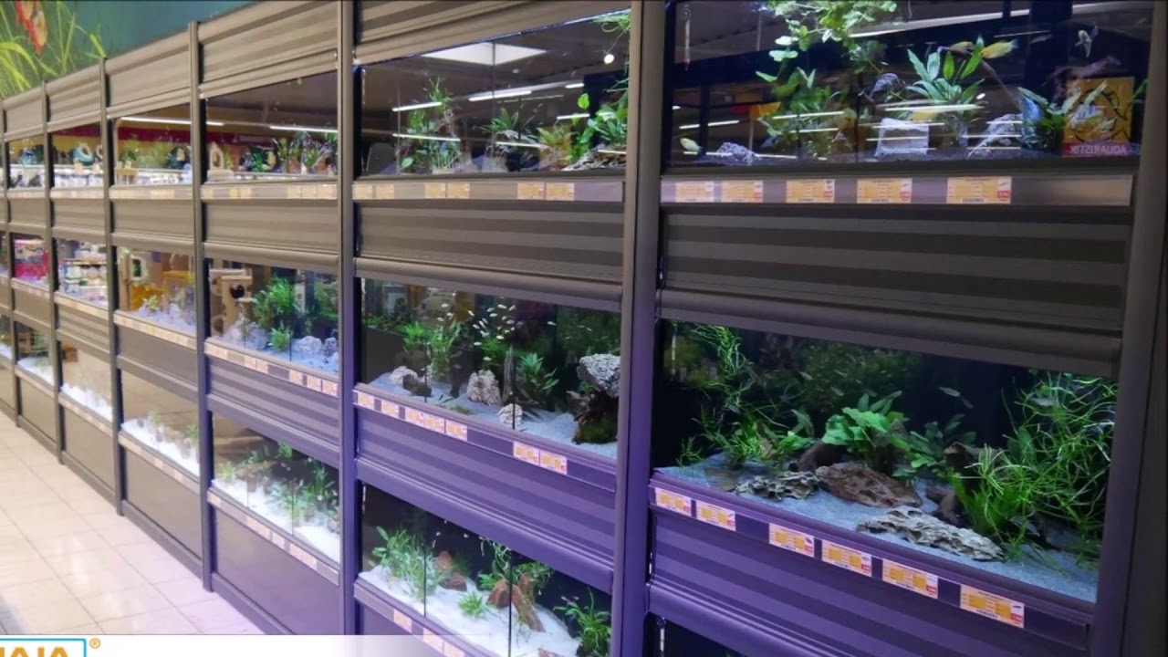 𝗣𝗿𝗼𝗷𝗲𝗰𝘁𝘃𝗶𝗱𝗲𝗼 𝗔𝗾𝘂𝗮𝗷𝗮 @ 𝗗𝗮𝘀 𝗙𝘂𝘁𝘁𝗲𝗿𝗵𝗮𝘂𝘀 𝗠𝗮𝘆𝗲𝗻