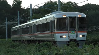 JR東海373系(F6編成) 特急伊那路3号飯田行き　飯田線江島〜東上