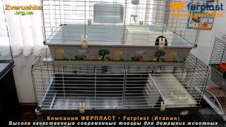 Клетки для крыс, хомяков, хорьков • Ferplast • Zverushka.org.ua Клетки для крыс, хомяков, хорьков • Ferplast • Zverushka.org.ua